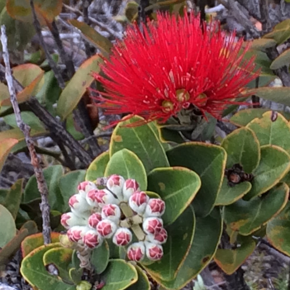 Meet your Posher, Joan